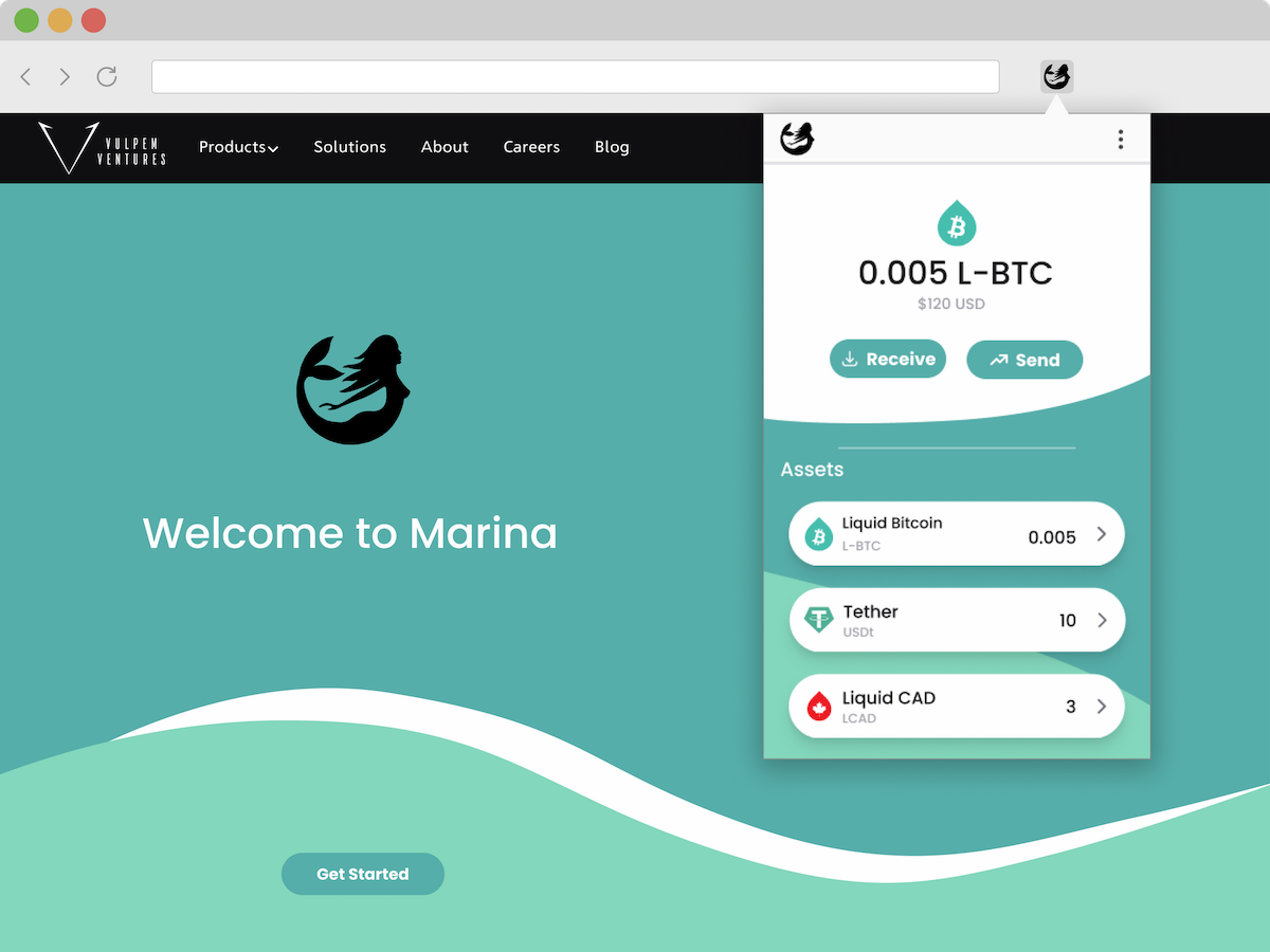 Marina website screenshot